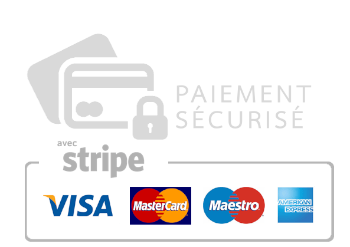 Paiement sécurisé avec Stripe : Visa, MasterCard, Maestro, American Express